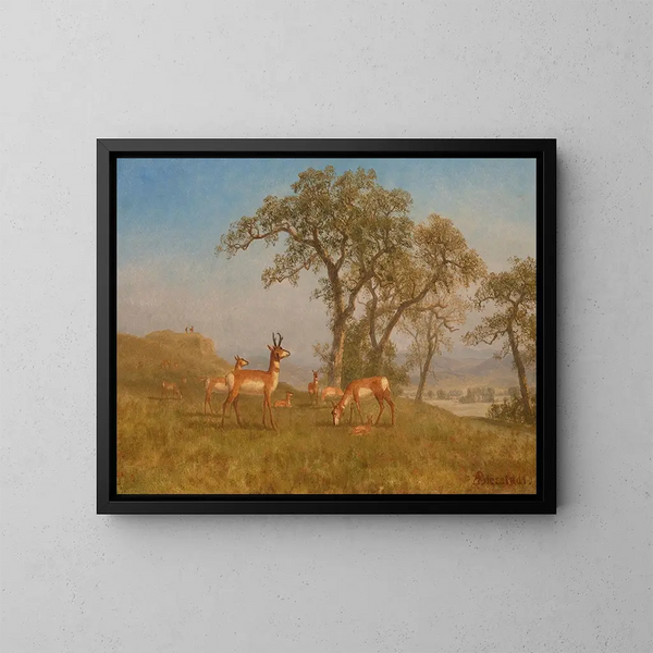 Antilope paissant - Albert Bierstadt — indrammet kunstværk på væggen
