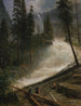 Chutes du Nevada à Yosemite - Albert Bierstadt — visning af kunstværket