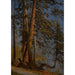 Parc à Vancouver - Albert Bierstadt — visning af kunstværket