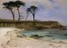 Anse marine - Albert Bierstadt — visning af kunstværket
