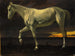 hvid hest og solnedgang - Albert Bierstadt — visning af kunstværket