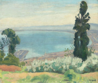 Albert Marquet - Baie dAlger vue dEl Biar.webp