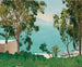 La plage vue à travers les eucalyptus - Albert Marquet — visning af kunstværket