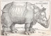 Le Rhinocéros - Albrecht Dürer — visning af kunstværket