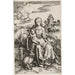 Den Jomfru og Barnet med aber - Albrecht Dürer — visning af kunstværket