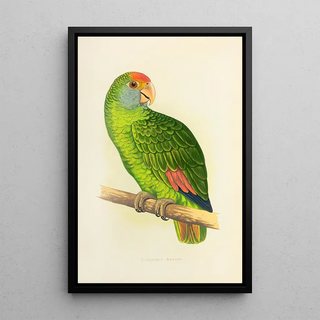 Alexander Francis Lydon - Dufresnes Amazon.webp