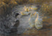 Canards parmi les roseaux dans un étang - Alexander Koester — visning af kunstværket