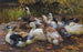 Mes canards, elleve ænder ved vandkanten - Alexander Koester — visning af kunstværket