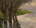 Reichenau, Weiden am See, solskin - Alexander Koester — visning af kunstværket