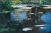 Fleurs de l'étang, Altwasser nær Brixen - Alexander Koester — visning af kunstværket