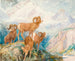 Mouflon af Big Horn - Alexander Phimister Proctor — visning af kunstværket