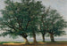 Quatre grands arbres - Alexandre Calame — visning af kunstværket