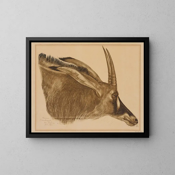 Antilope hippotrague - Alexandre Iacovleff — indrammet kunstværk på væggen