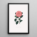 Illustrationer og beskrivelser af planterne, der udgør den naturlige orden af Camellieae Pl14 - Alfred Chandler