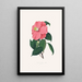Illustrationer og beskrivelser af planterne, der udgør den naturlige orden af Camellieae Pl38 - Alfred Chandler — indrammet kunstværk på væggen