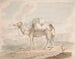 Chameau chargé - Alfred Diston — visning af kunstværket