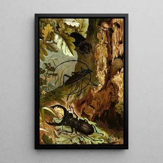 Alfred Edmund Brehm - Die Insekten Tausendfussler und Spinnen Pl 05.webp