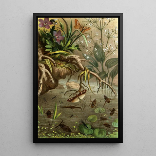 Alfred Edmund Brehm - Die Insekten Tausendfussler und Spinnen Pl 20.webp