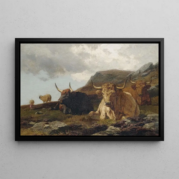 Alfred Grey - Hochlandrinder.webp
