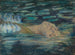 Ophelia - Alice Pike Barney — visning af kunstværket