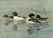 GoldenEye Barrows - Allan Brooks — visning af kunstværket