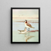 Wilsons Phalarope - Allan Brooks — indrammet kunstværk på væggen