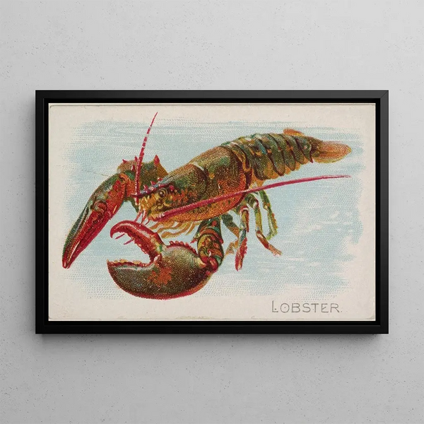 Homard - Allen Ginter — indrammet kunstværk på væggen