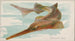 Poisson-scie - Allen Ginter — visning af kunstværket