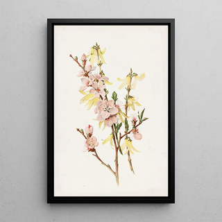 Alois Lunzer - Peach Blossoms and Forsythia.webp