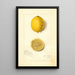 Reproduktion af maleriet Citrus limon Villa France - Amanda Almira Newton