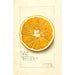 Reproduktion af maleriet Citrus paradisi Navel - Amanda Almira Newton