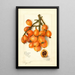 Reproduktion af maleriet Eriobotrya japonica Baronne Hall - Amanda Almira Newton