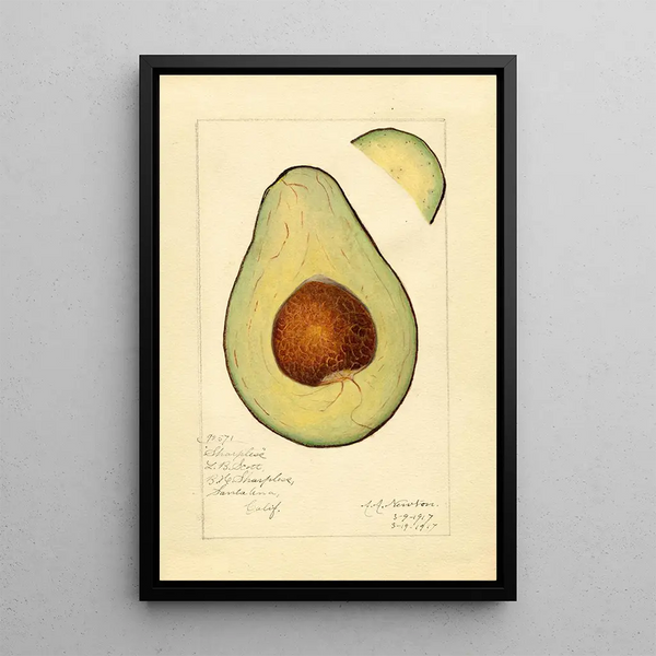 Reproduktion af maleriet Persea Sharpless - Amanda Almira Newton