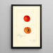 Reproduktion af maleriet Prunus domestica Wild Goose - Amanda Almira Newton