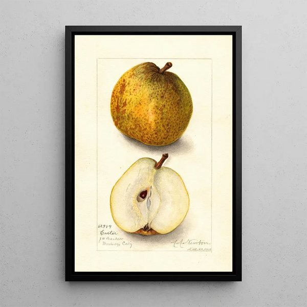 Reproduktion af maleriet Pyrus communis Easter - Amanda Almira Newton