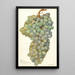 Reproduktion af maleriet Vitis Almeria - Amanda Almira Newton