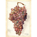 Vitis Angelina - Amanda Almira Newton — visning af kunstværket