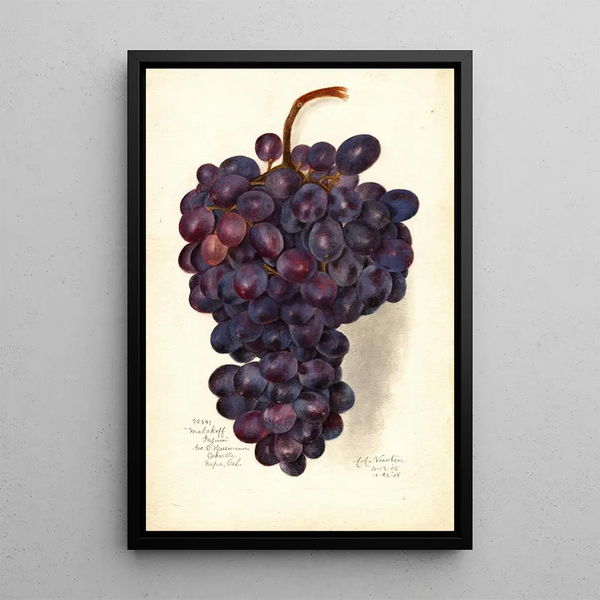 Reproduktion af maleriet Vitis Maleri Malakoff Isjum - Amanda Almira Newton