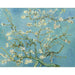 Reproduktion af maleriet Amandelblomster - Vincent Van Gogh