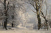 Vinterskov - Anders Andersen-Lundby — visning af kunstværket