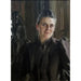 Fanny Thiel née Stiebel - Anders Zorn — visning af kunstværket