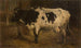 Vache - André Plumot — visning af kunstværket