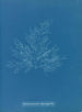 Bonnemaisonia asparagoides - Anna Atkins — visning af kunstværket
