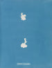 Calothrix cresswelliae - Anna Atkins — visning af kunstværket