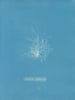 Keramisk gennemsigtigt maleri - Anna Atkins — visning af kunstværket