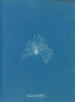 En vandtæt keramik - Anna Atkins — visning af kunstværket