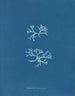 Chondrus norvegicus - Anna Atkins — visning af kunstværket