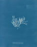 Chylocladia articulé - Anna Atkins — visning af kunstværket