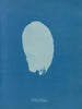 Bourse-kode - Anna Atkins — visning af kunstværket