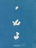Adhérer til koden - Anna Atkins — visning af kunstværket